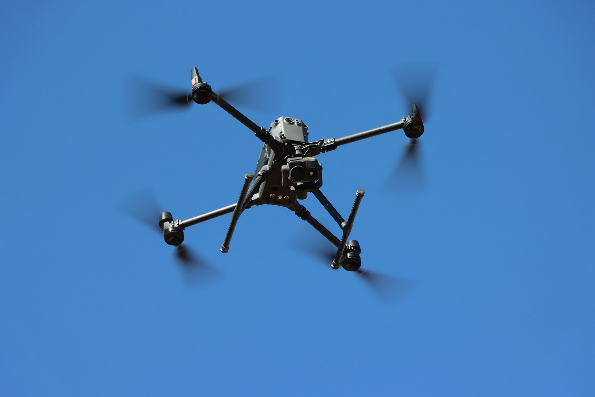 Монгол Улсын зэвсэгт хүчин