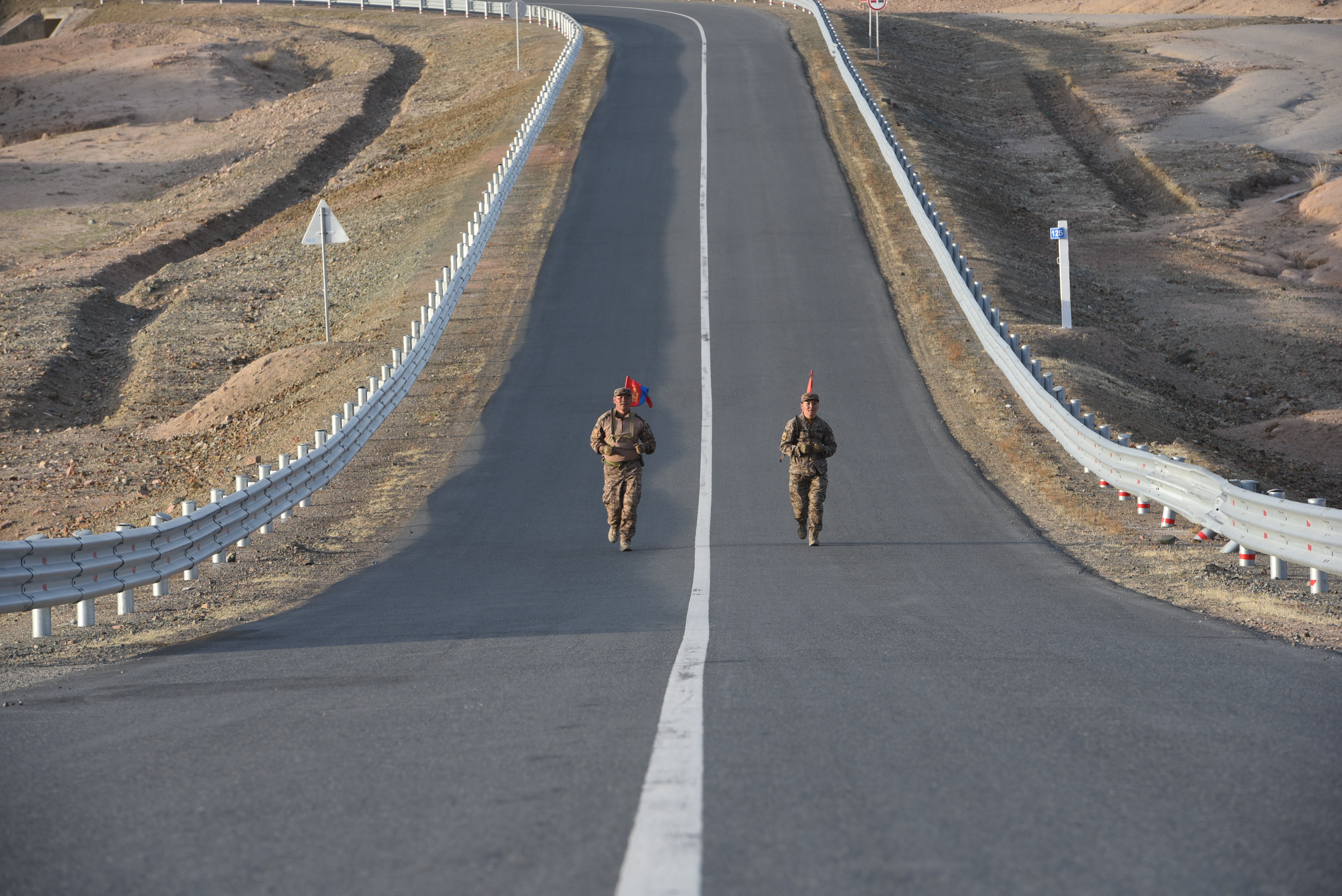 Монгол Улсын зэвсэгт хүчин