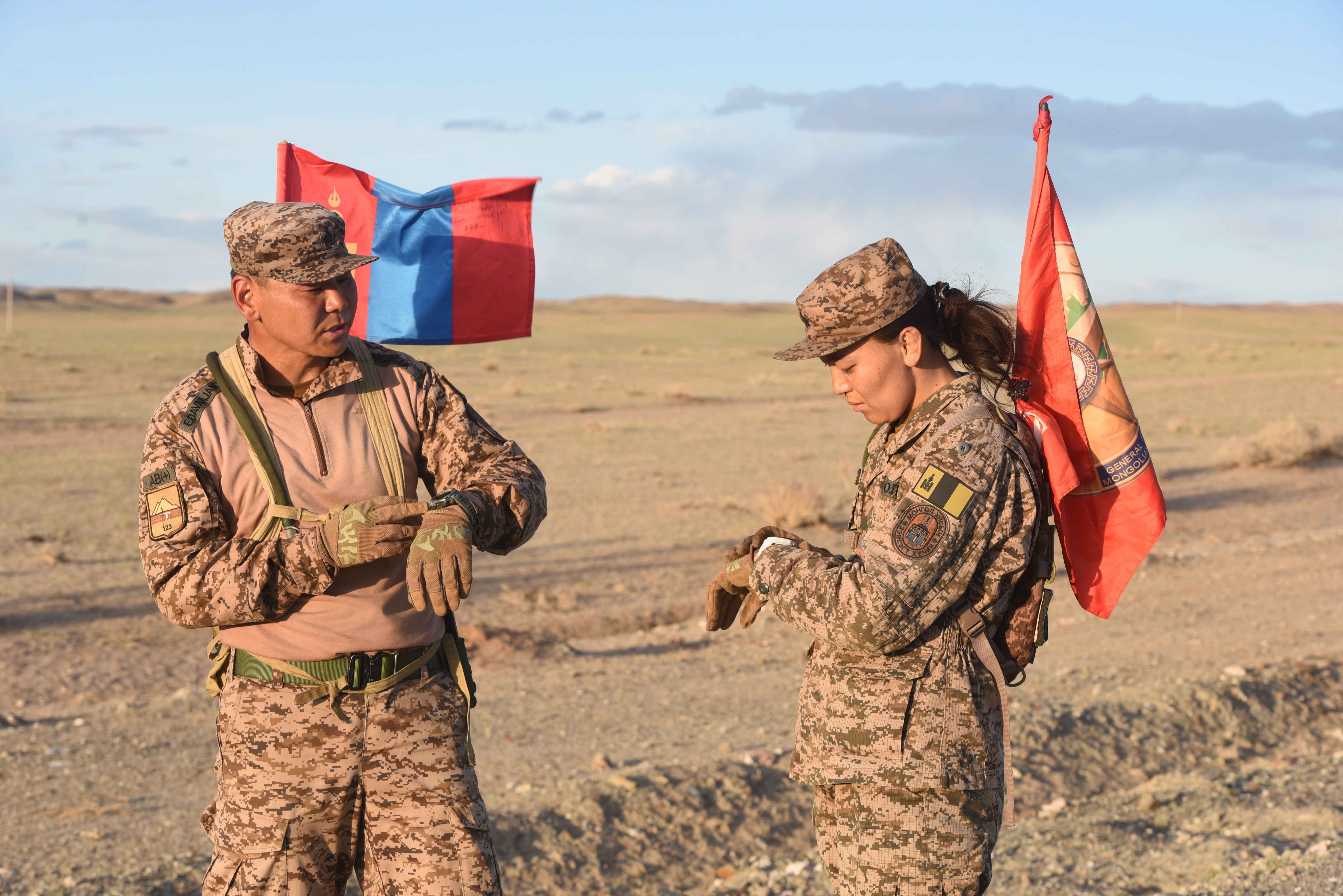 Монгол Улсын зэвсэгт хүчин
