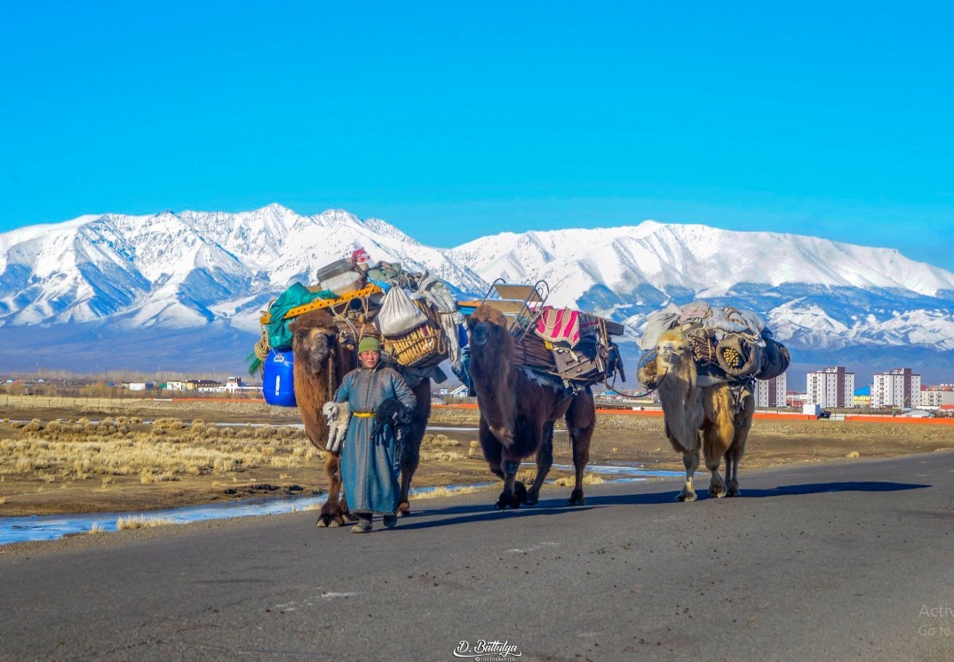 Монгол Улсын зэвсэгт хүчин
