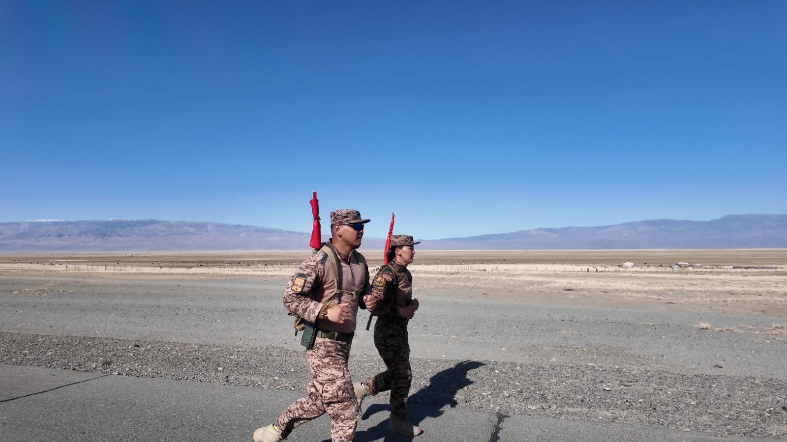 Монгол Улсын зэвсэгт хүчин