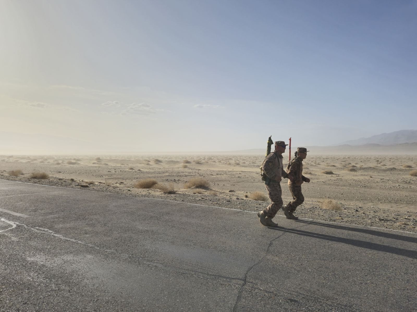 Монгол Улсын зэвсэгт хүчин