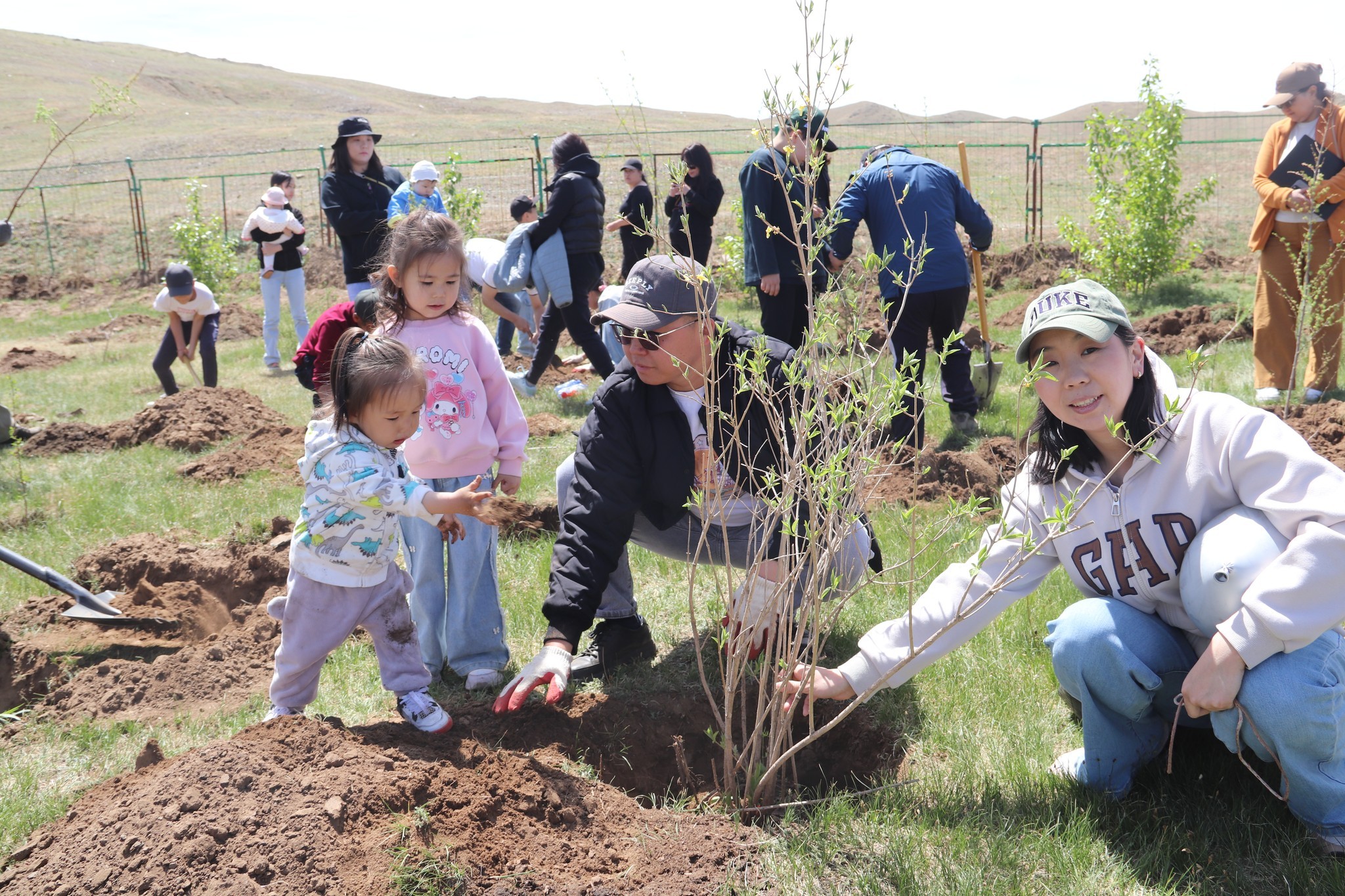 Монгол Улсын зэвсэгт хүчин