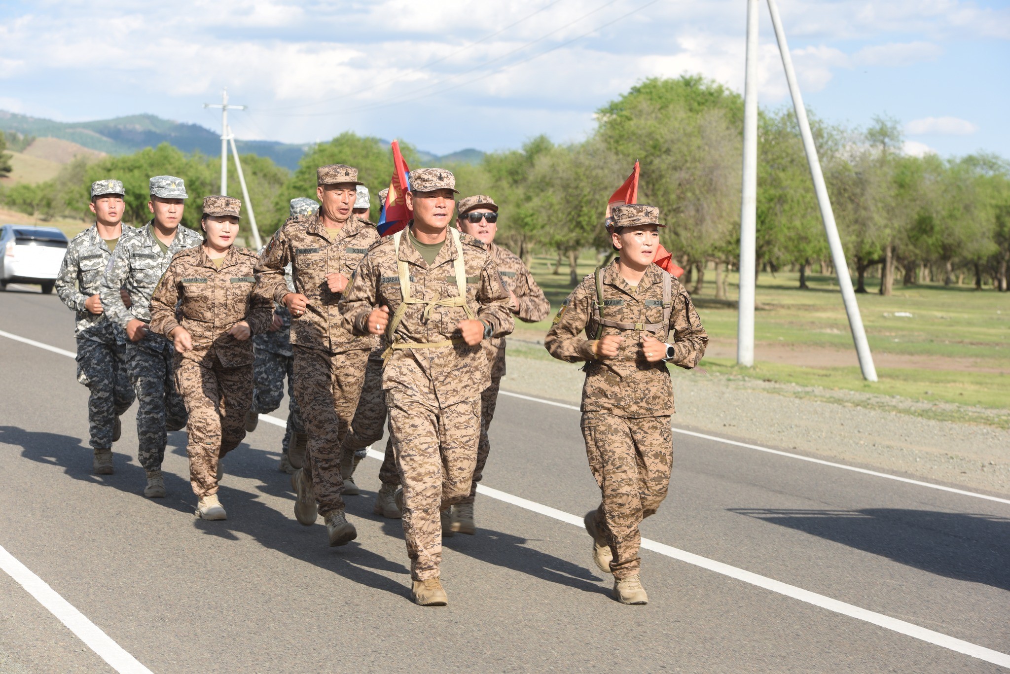 Монгол Улсын зэвсэгт хүчин
